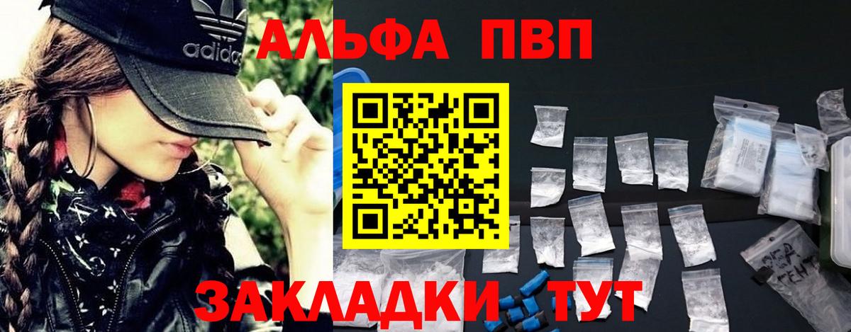 Альфа ПВП СК Кандалакша