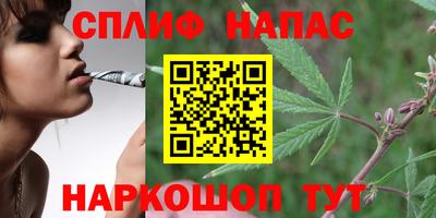 jwh Краснознаменск