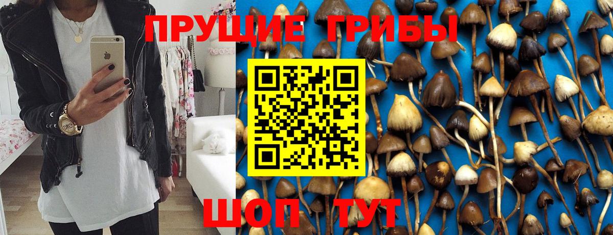 Галлюциногенные грибы Cubensis  Вход с VPN  Кандалакша  Псилоцибиновые грибы Cubensis 