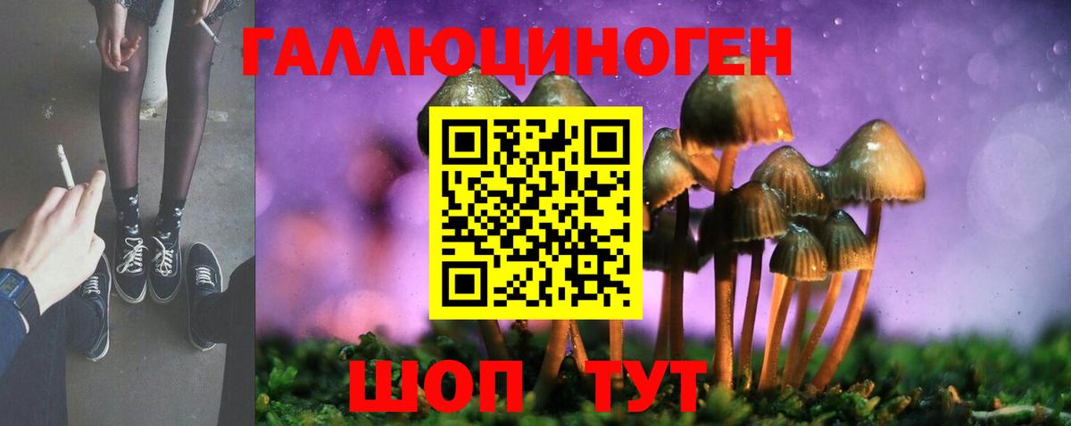 Псилоцибиновые грибы Psilocybe Кандалакша